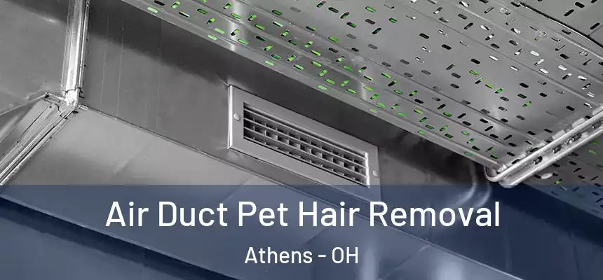  Air Duct Pet Hair Removal Athens - OH