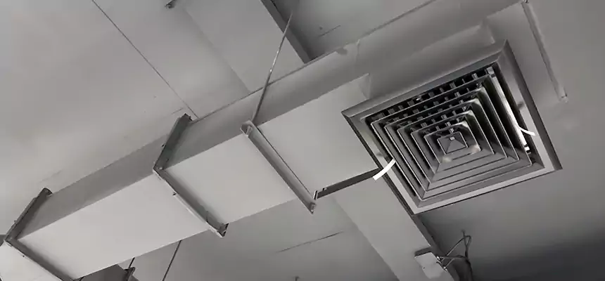 Our Rodent Droppings In Vents Services in Athens, OH