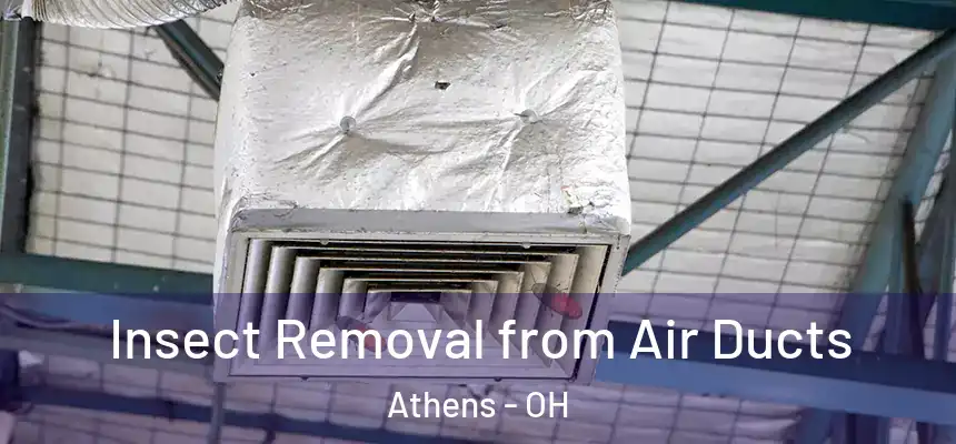 Insect Removal from Air Ducts Athens - OH
