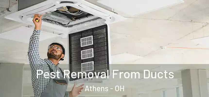  Pest Removal From Ducts Athens - OH
