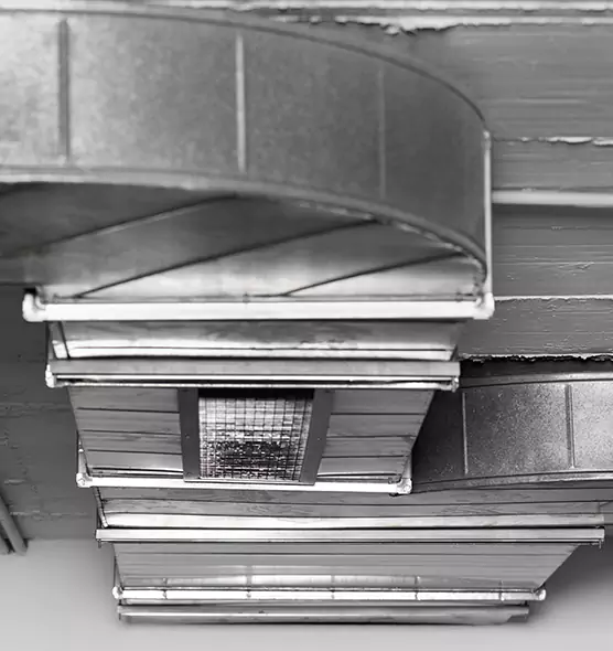 Professional Air Duct Pest Removal in Athens, OH