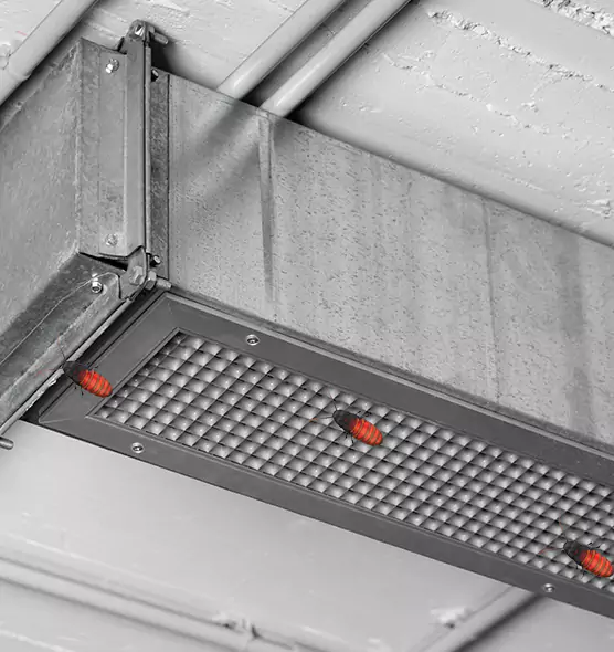 Affordable Insect Removal from Air Ducts in Athens, OH